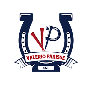 Logo Parisse Valerio